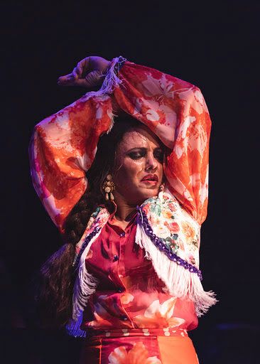 Espectáculo flamenco en Málaga con Ana Pastrana bailaora flamenca en EL GALLO RONCO.